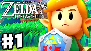 The Legend of Zelda Link s Awakening - Gameplay Part 1