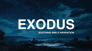 Exodus Peaceful Bible Reading for Sleep Meditation NIV