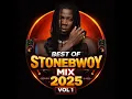 Lagu Best of Stonebwoy Mix 2025 Vol. 1 🇬🇭 | Afro-Dancehall Hits | LIVE FROM 233