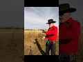 Download Lagu Triple Shot SAA #gunfighter #western #cool #Colt #singleactionshootingsociety #Clint Eastwood
