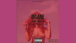 rihanna disturbia insane malwelas afro house remix 