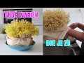 Download Lagu TAUGÉ KWEKEN DOE JE ZO || AIDA SMORE #DIY