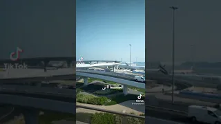 ٨ يونيو ٢٠٢١ دندنها