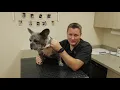 Giardia Infection and Treatment