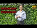Download Lagu Mogachim Toofanam | New Konkani Song | Joao De Zuari | 2021
