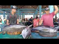 Download Lagu How to Cut Tuna in Traditional Markets
