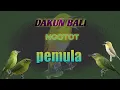 Download Lagu dakun bali Ngotot juara pemula#masteran #plecigacor#plecimaniaindonesia