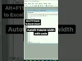Auto fit column width with view code ms excel