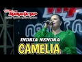 Download Lagu CAMELIA - INDRIA NENDRA - NEW MANAHADAP Cover