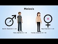 Chromosome structure and behaviour in mitosis and meiosis