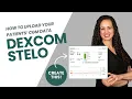 How to Create a Dexcom Stelo Patient Report