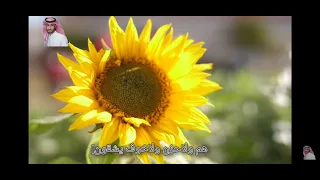 ترنيمة اصدق مع نفسك للمنشد محمد بن مخاشن بدون موسيقى  ترنيمة اصدق مع نفسك للمنشد محمد بن مخاشن بدون موسيقى