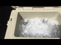 20 qt Orca Cooler Vs Yeti Roadie