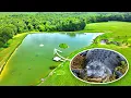 Download Lagu Alligators at the 5 Acre Pond!