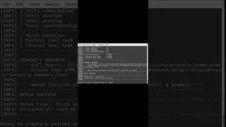 Testing java maven failsafe serenity junit5 sieve segment cli