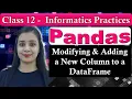 Pandas DataFrame - Modifying Adding a New Column to a DataFrame CBSE Class 12