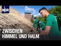 Lagu Oldenburger Land: Reetdachdecker der Zukunft | Die Nordreportage | NDR Doku