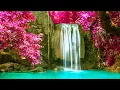 Download Lagu Relaxing Calming Music with Water Sounds, Bird Sounds 🎁 Meditation, Sleep Music Tuneone, Study Music