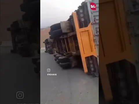 В Алайском районе перевернулся грузовик, перевозивший коров из Китая.