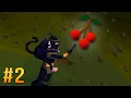 The Most POWERFUL Redberries in Trailblazer League