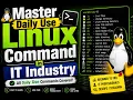 Daily Linux Commands Every Mid Level Developer Needs to Know