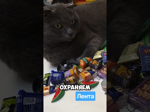 Мини лента в Ленте #лента