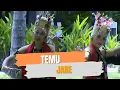 Download Lagu Temu - Jare (Official Music Video)