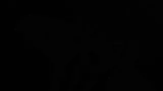 yordles in glory hole by landidzu