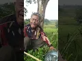 Download Lagu ngalamun bari nyanyi