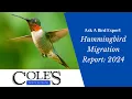 Hummingbird Migration Report 2024