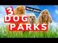 New Jersey Destination Dog Parks Van Saun Dog Park Central Park Dog Park Wantage Dog Park