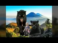 Download Lagu KIDUNG WAHYU KOLO SEBO