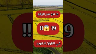 ما هو سر الرقم 19 في القرآن الكريم قرآن 