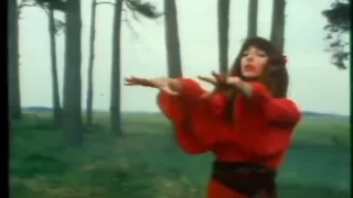 Kate Bush Wuthering Heights Official Music Video Version 2 