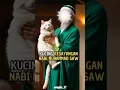 Download Lagu Kisah muezza kucing istimewa nabi muhammad saw #bersama_rasulullah #nabimuhammad#kucing #kisahislami