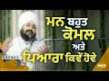 Lagu ਮਨ ਬਹੁਤ ਕੋਮਲ ਅਤੇ ਪਿਆਰਾ ਕਿਵੇਂ ਹੋਵੇ | Dhadrianwale