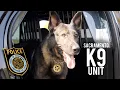 Join SacPD The K9 Unit