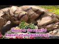 Inside the Mysuru Dasara Glass House Flower Show #video 