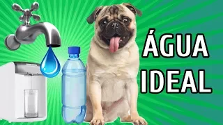 ÁGUA DE TORNEIRA, FILTRADA OU MINERAL - QUAL A MELHOR? | com Debby Lagranha