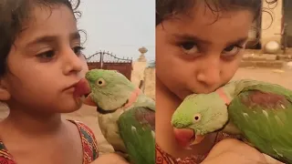 Mithu K Sath Irum Pashto Bool Rhi Hie 