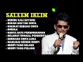 Download Lagu Best of the best Saleem iklim full album