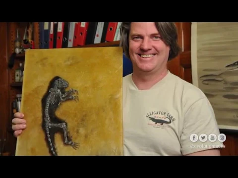 أخطاء نظرية التطور ١٦  إيدا  أعجوبة العالم الثامنة Ida fossil  Eighth Wonder of the World