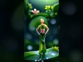 Download Lagu Beautiful flowers dancing video#aiart  #ai video #dance #dancing#flower dancing video#shorts #viral