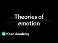 Theories of Emotion Processing the Environment MCAT Khan Academy