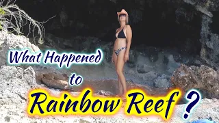 SDA39 What Happened to Rainbow Reef?