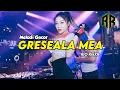MELODI CANDU!! GRESEALA MEA REMIX 2025 - RIO RMXR (BASSGANGGA) 