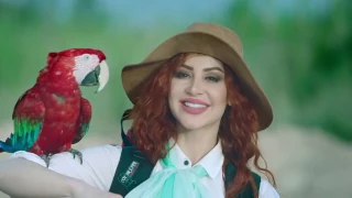 فارس   دبلوماسي                                        دندنها