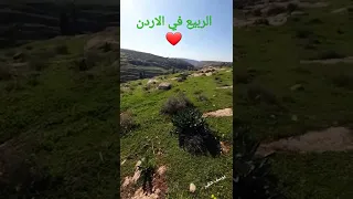 الربيع في الاردن كون سبح هلل يا الله 