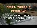 How to Get Rid of Ringworm Spores in Your Yard