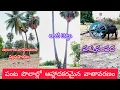 Download Lagu Telangana gattu medha  ... #farming #villagelife #farmingrice #trending #telangana #nalgonda #suresh